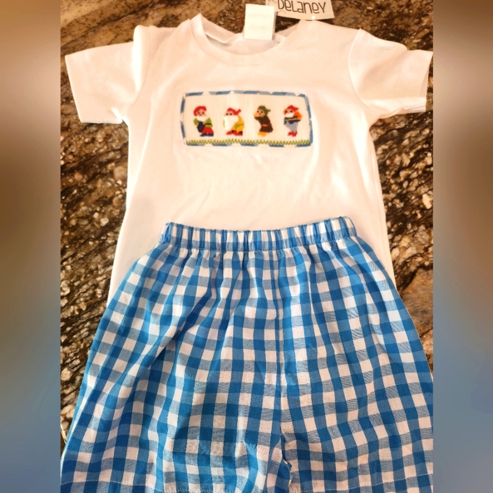 Delaney Kids White T-Shirt and Blue Checkered Shorts Set